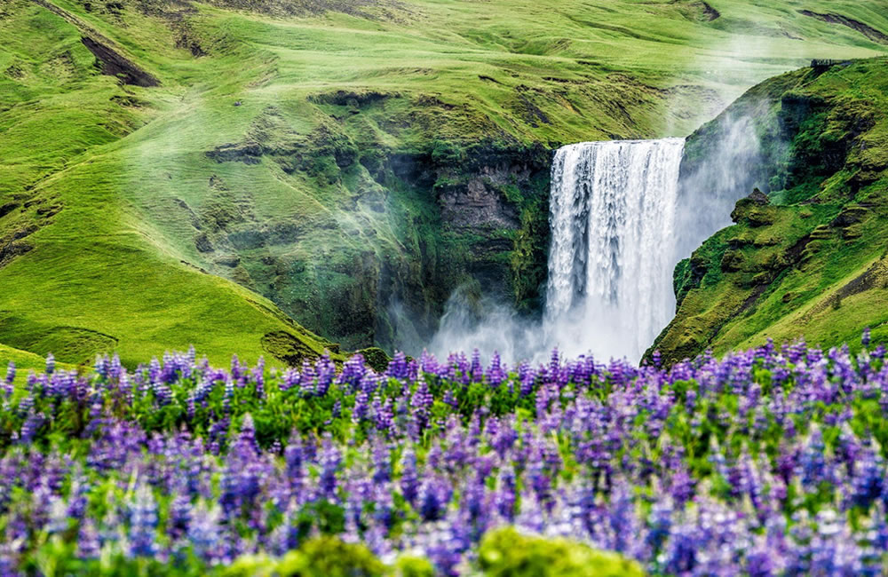 Iceland Wilderness